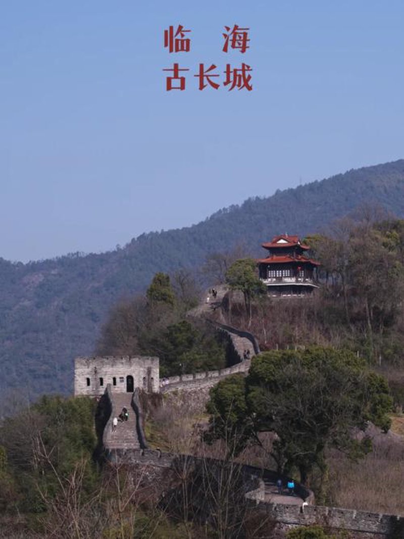 果蔬公司直供：为何选择直接采购？