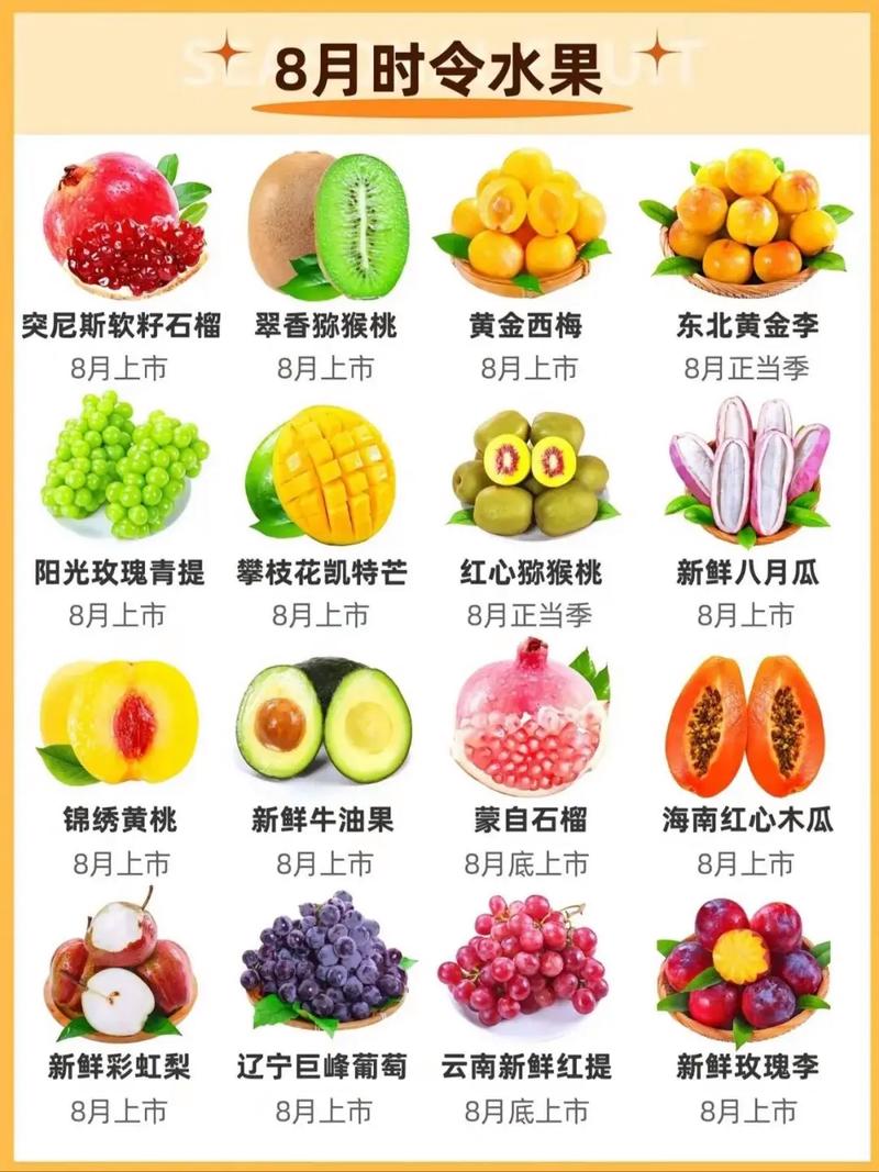 临海果蔬批发市场的选择：哪些因素更重要？